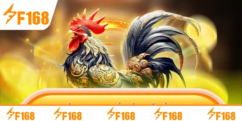 Quy trình tham gia giải trí tại nền tảng F168