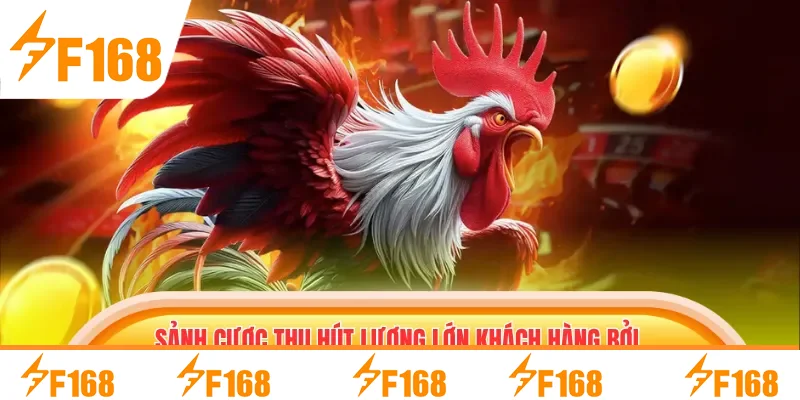 Sảnh cược thu hút lượng lớn khách hàng bởi nhiều lợi ích